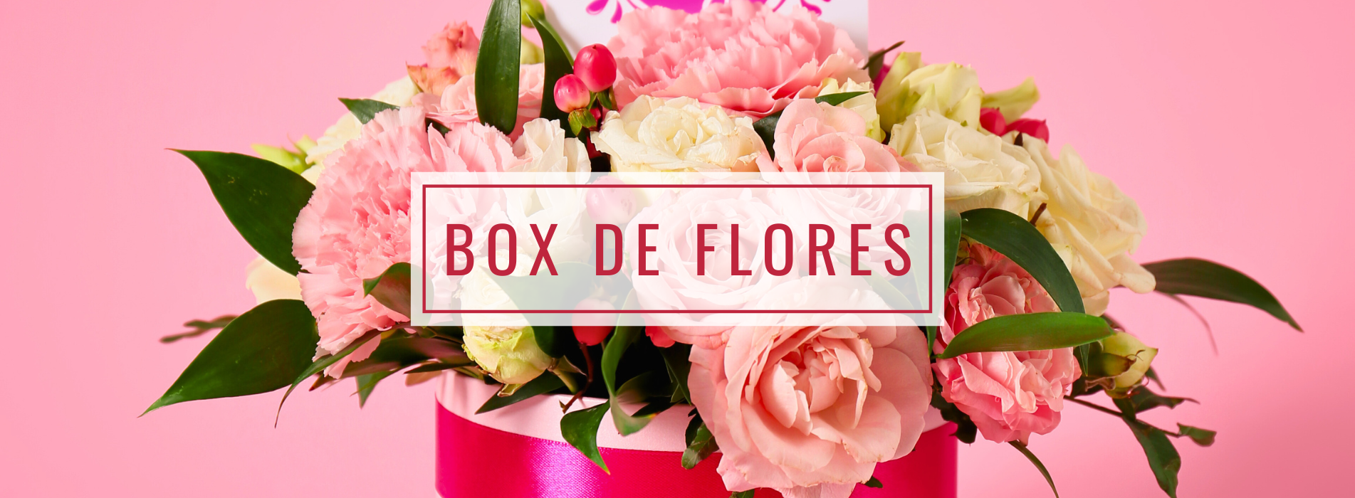 Box de Flores